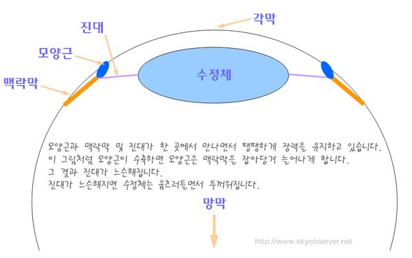 <span style=